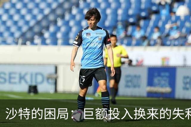 沙特的困局：巨额投入换来的失利与求援之困