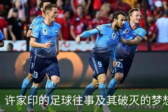 许家印的足球往事及其破灭的梦想