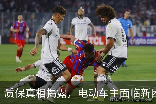 质保真相揭露，电动车主面临新困境与焦虑